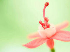 Ảnh bìa bài viết 333527