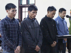 Ảnh bìa bài viết 333906