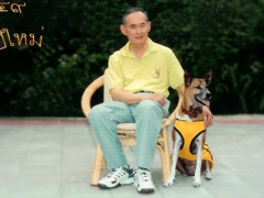 Ảnh bìa bài viết 333721