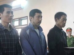 Ảnh bìa bài viết 333738