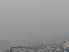 Ảnh bìa bài viết 333849