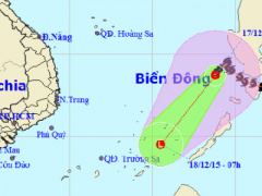 Ảnh bìa bài viết 333999