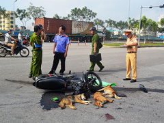 Ảnh bìa bài viết 334279