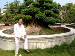 Ảnh bìa bài viết 334310