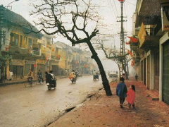 Ảnh bìa bài viết 334395