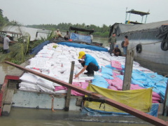 Ảnh bìa bài viết 334381