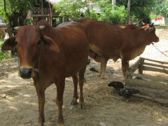 Ảnh bìa bài viết 334451