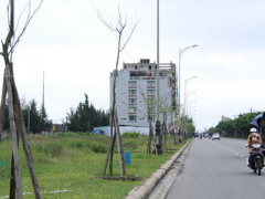 Ảnh bìa bài viết 334479