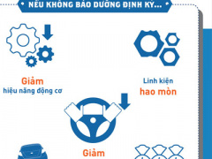 Ảnh bìa bài viết 334591