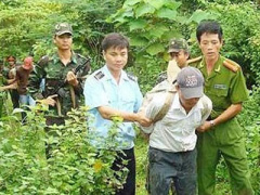 Ảnh bìa bài viết 334657