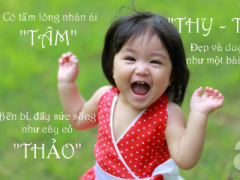 Ảnh bìa bài viết 335215