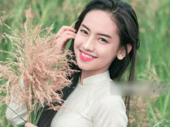 Ảnh bìa bài viết 335264