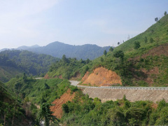Ảnh bìa bài viết 335212