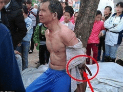 Ảnh bìa bài viết 335273