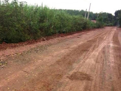 Ảnh bìa bài viết 335427