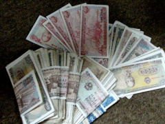Ảnh bìa bài viết 335421