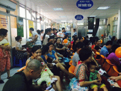 Ảnh bìa bài viết 335436