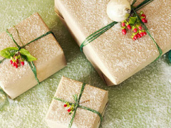 Ảnh bìa bài viết 335464