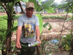 Ảnh bìa bài viết 335688