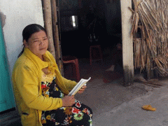 Ảnh bìa bài viết 335897