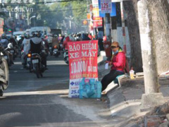 Ảnh bìa bài viết 335731