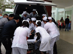 Ảnh bìa bài viết 335902