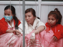 Ảnh bìa bài viết 336117