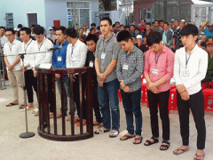 Ảnh bìa bài viết 336113