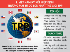 Ảnh bìa bài viết 336368