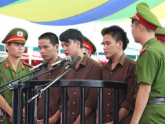 Ảnh bìa bài viết 336572