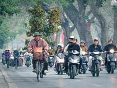 Ảnh bìa bài viết 336702