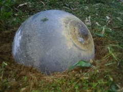 Ảnh bìa bài viết 336695