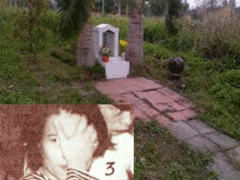 Ảnh bìa bài viết 336833