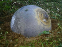 Ảnh bìa bài viết 336821