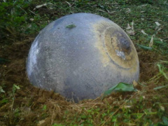Ảnh bìa bài viết 336846