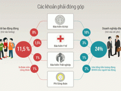 Ảnh bìa bài viết 337233
