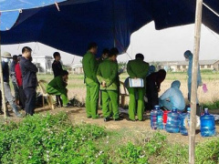 Ảnh bìa bài viết 337359