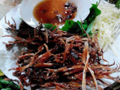 Ảnh bìa bài viết 337327