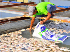 Ảnh bìa bài viết 337368