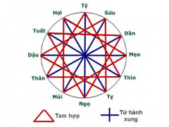 Ảnh bìa bài viết 337326