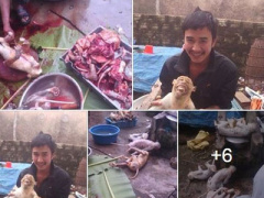 Ảnh bìa bài viết 337506