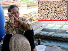 Ảnh bìa bài viết 337511