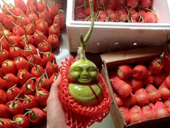 Ảnh bìa bài viết 337483