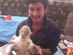 Ảnh bìa bài viết 337577
