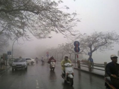 Ảnh bìa bài viết 337727