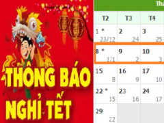 Ảnh bìa bài viết 337696