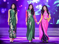 Ảnh bìa bài viết 337688