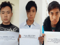 Ảnh bìa bài viết 337904