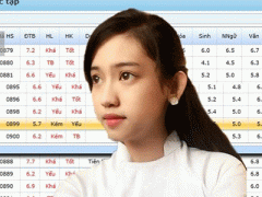 Ảnh bìa bài viết 337973