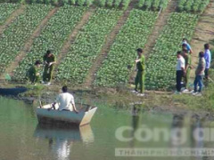 Ảnh bìa bài viết 337932
